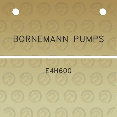 bornemann-pumps-e4h600