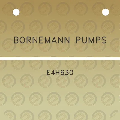 bornemann-pumps-e4h630