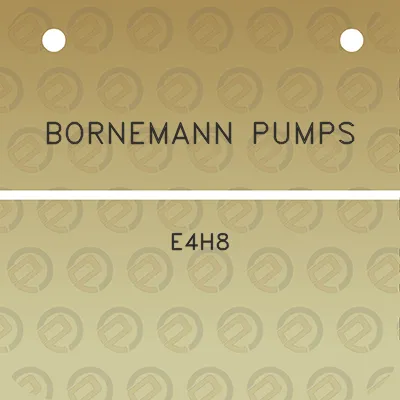 bornemann-pumps-e4h8