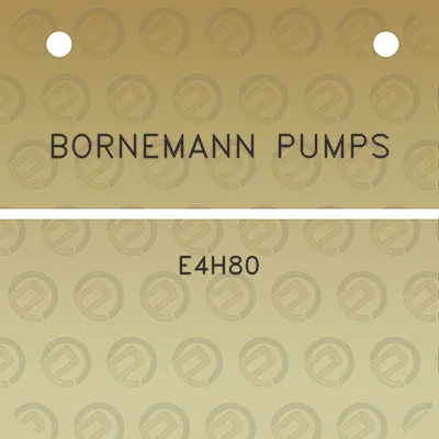 bornemann-pumps-e4h80