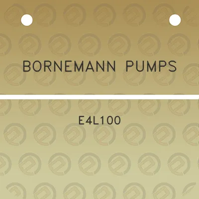 bornemann-pumps-e4l100