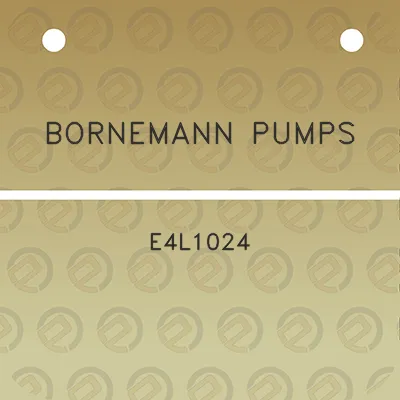 bornemann-pumps-e4l1024