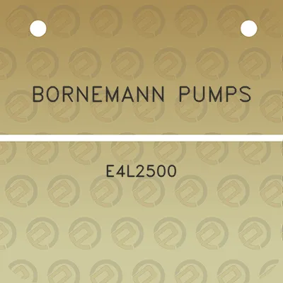 bornemann-pumps-e4l2500