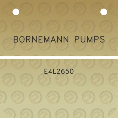 bornemann-pumps-e4l2650