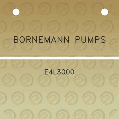 bornemann-pumps-e4l3000