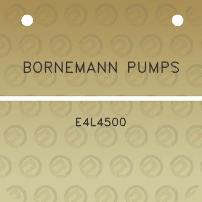 bornemann-pumps-e4l4500