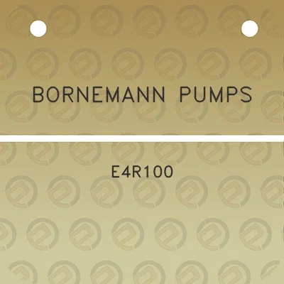 bornemann-pumps-e4r100