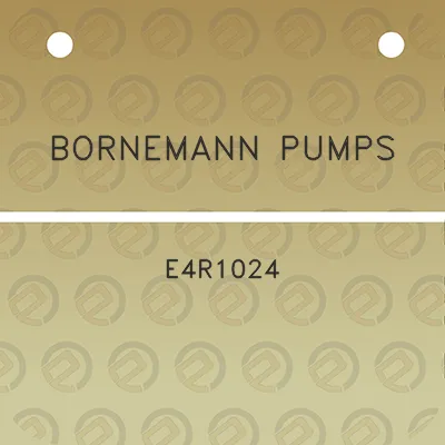 bornemann-pumps-e4r1024