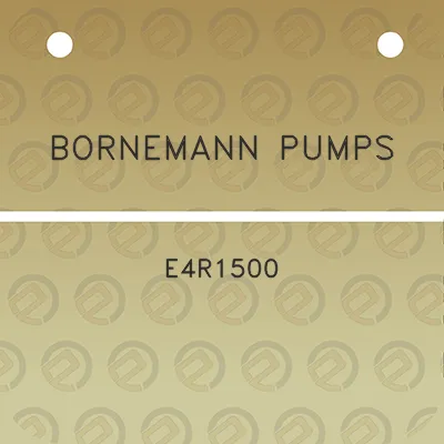 bornemann-pumps-e4r1500