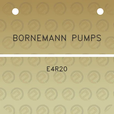 bornemann-pumps-e4r20