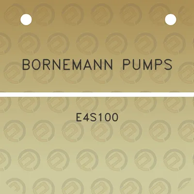 bornemann-pumps-e4s100