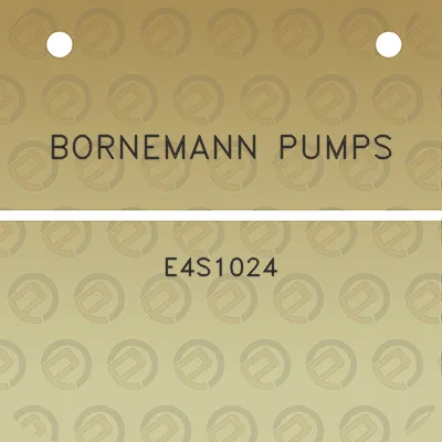 bornemann-pumps-e4s1024