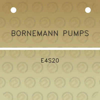 bornemann-pumps-e4s20