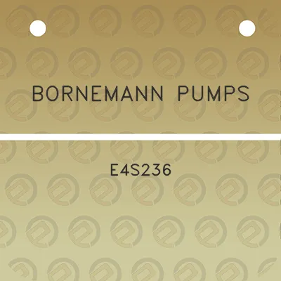 bornemann-pumps-e4s236