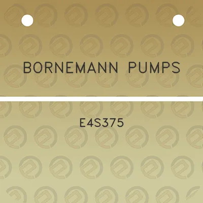 bornemann-pumps-e4s375