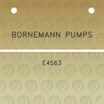 bornemann-pumps-e4s63