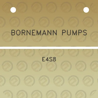 bornemann-pumps-e4s8