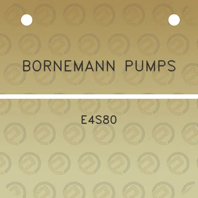 bornemann-pumps-e4s80