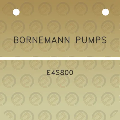 bornemann-pumps-e4s800