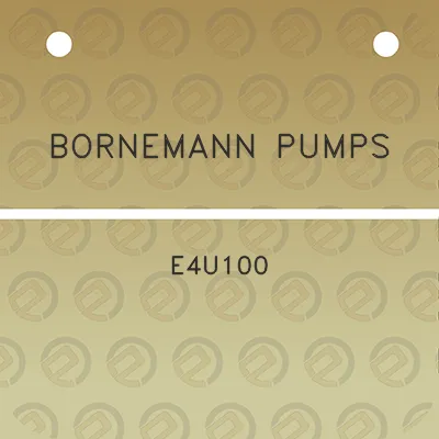 bornemann-pumps-e4u100