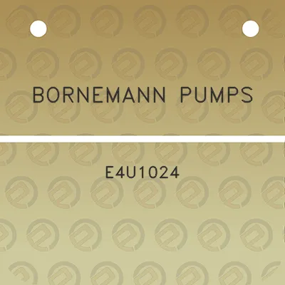 bornemann-pumps-e4u1024