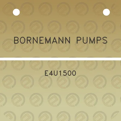 bornemann-pumps-e4u1500