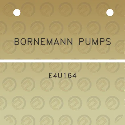 bornemann-pumps-e4u164