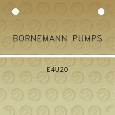 bornemann-pumps-e4u20