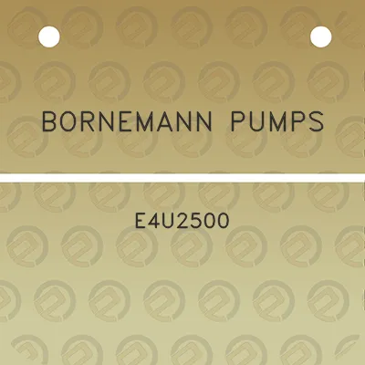 bornemann-pumps-e4u2500