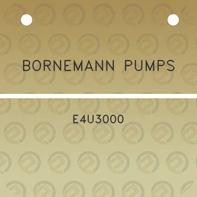 bornemann-pumps-e4u3000