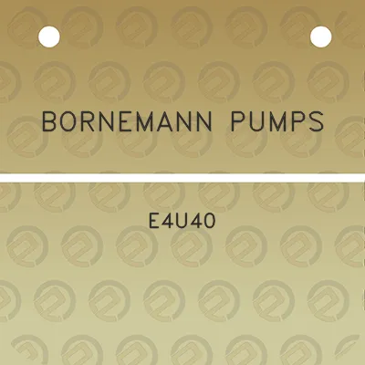 bornemann-pumps-e4u40