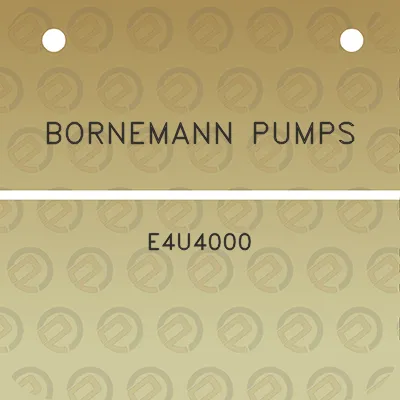 bornemann-pumps-e4u4000