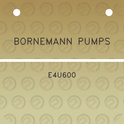 bornemann-pumps-e4u600