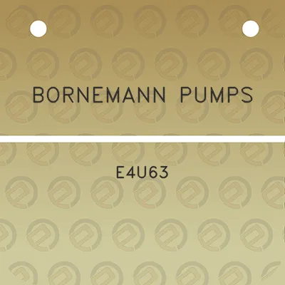 bornemann-pumps-e4u63