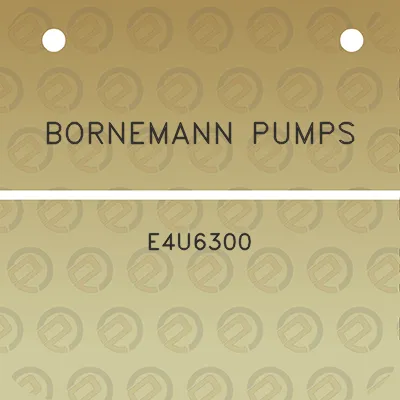 bornemann-pumps-e4u6300