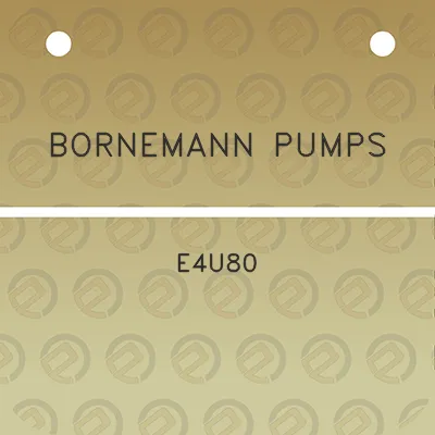 bornemann-pumps-e4u80