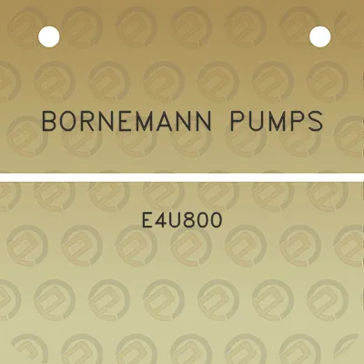 bornemann-pumps-e4u800