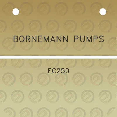 bornemann-pumps-ec250