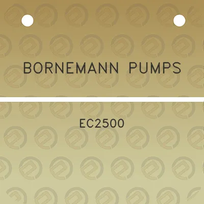 bornemann-pumps-ec2500