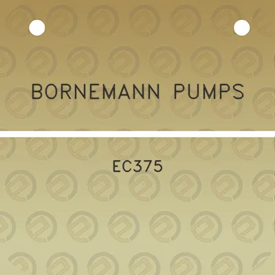 bornemann-pumps-ec375