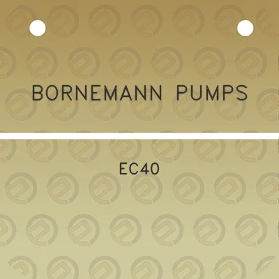 bornemann-pumps-ec40