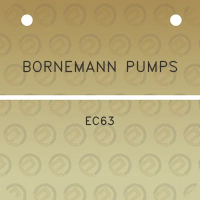 bornemann-pumps-ec63