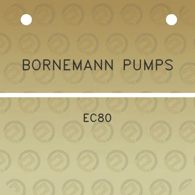 bornemann-pumps-ec80