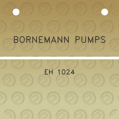 bornemann-pumps-eh-1024