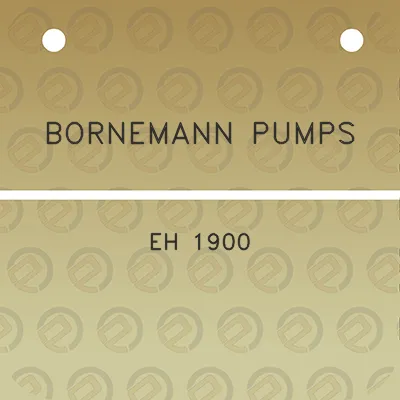 bornemann-pumps-eh-1900