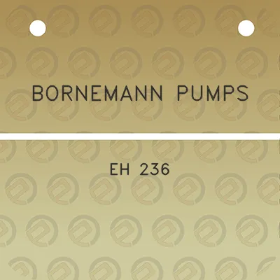 bornemann-pumps-eh-236