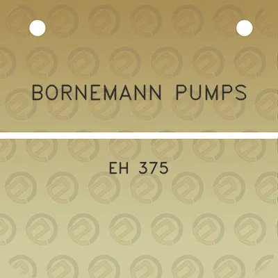 bornemann-pumps-eh-375