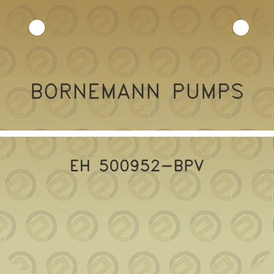 bornemann-pumps-eh-500952-bpv