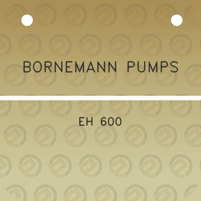 bornemann-pumps-eh-600