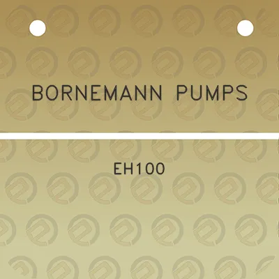 bornemann-pumps-eh100